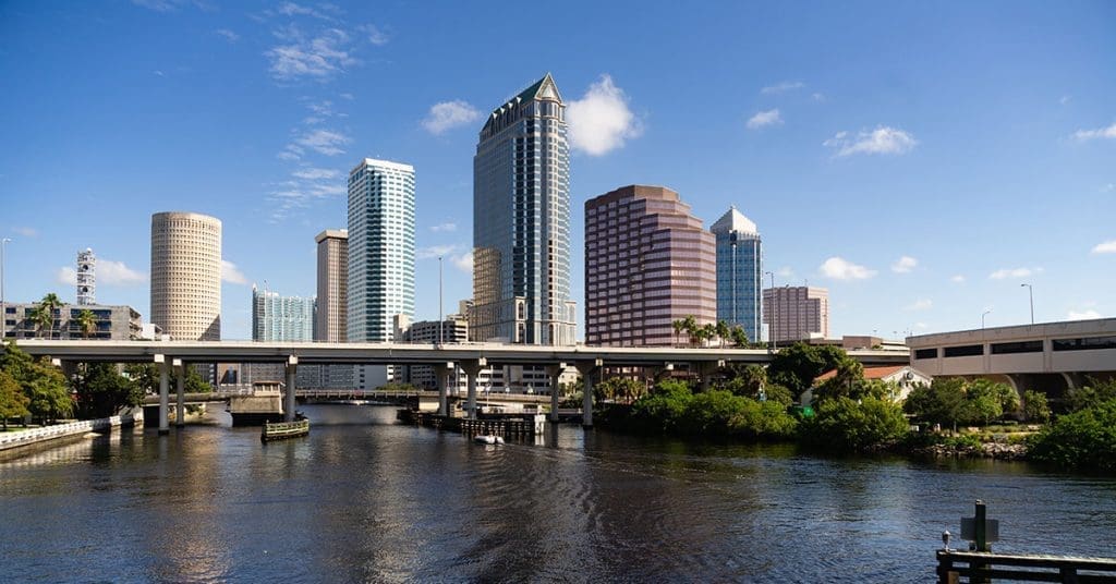 Is Your Plastic Surgery Practice Invisible in Tampa? What SEO Is Really Doing to Your New Patient Numbers