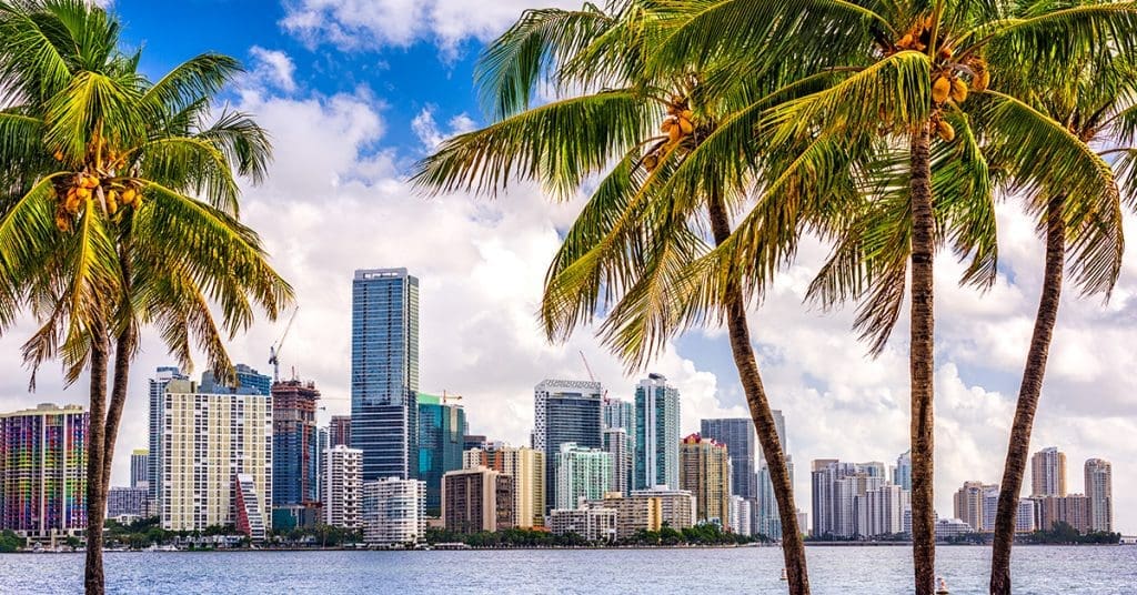Plastic surgery SEO in Miami