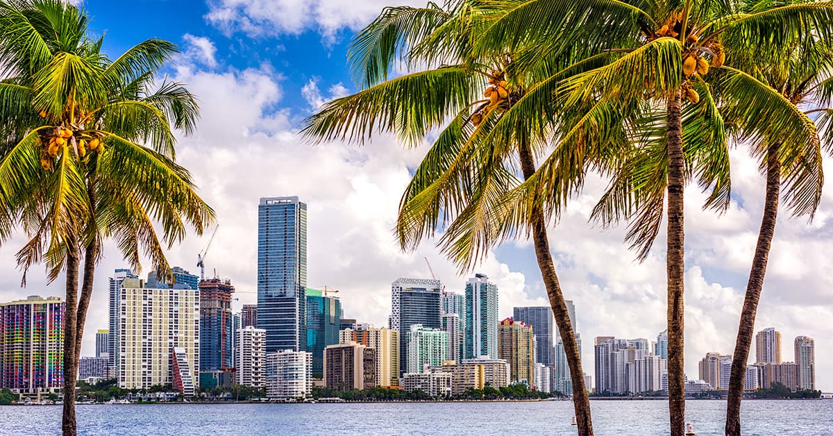 Plastic surgery SEO in Miami